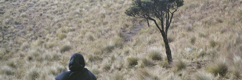 daiddddd_'s profile banner image