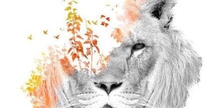 frkgram's profile banner image