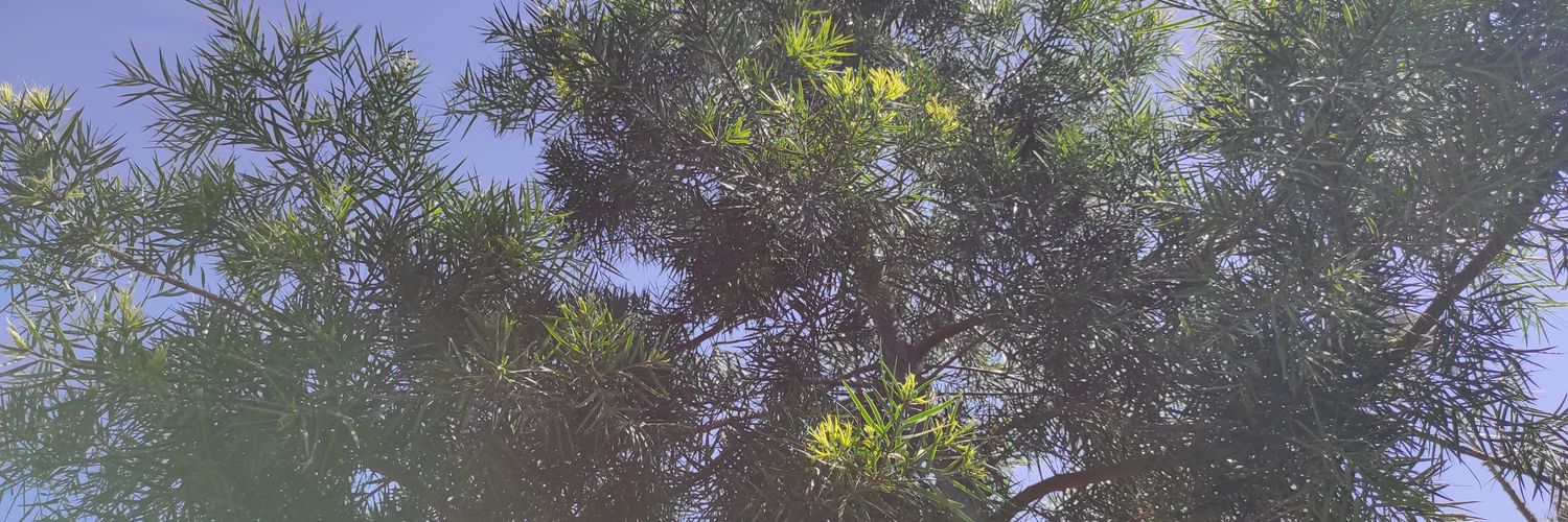 Blac_Kween's profile banner image