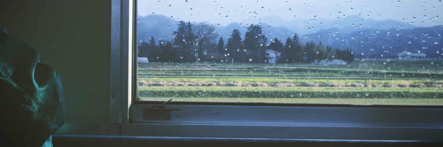 4696lily's profile banner image