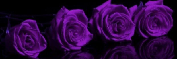 la_shandra's profile banner image