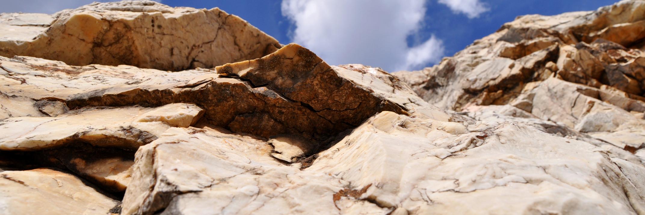 inesmoran's profile banner image