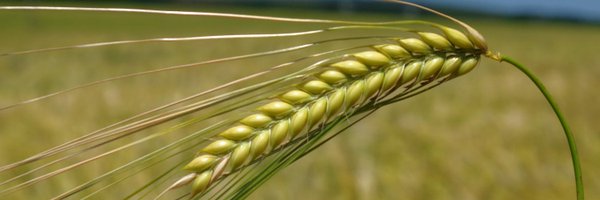 MoleCountry Profile Banner