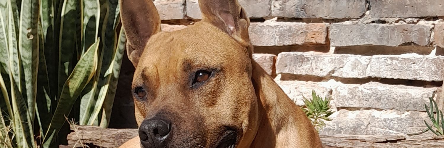 mateo43540's profile banner image