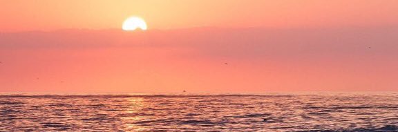 SH_9394TR's profile banner image