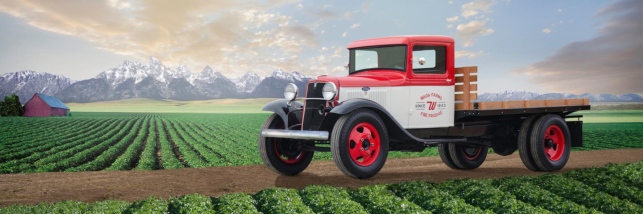WadaFarms's profile banner image
