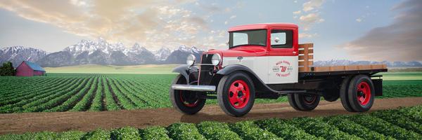 WadaFarms Profile Banner