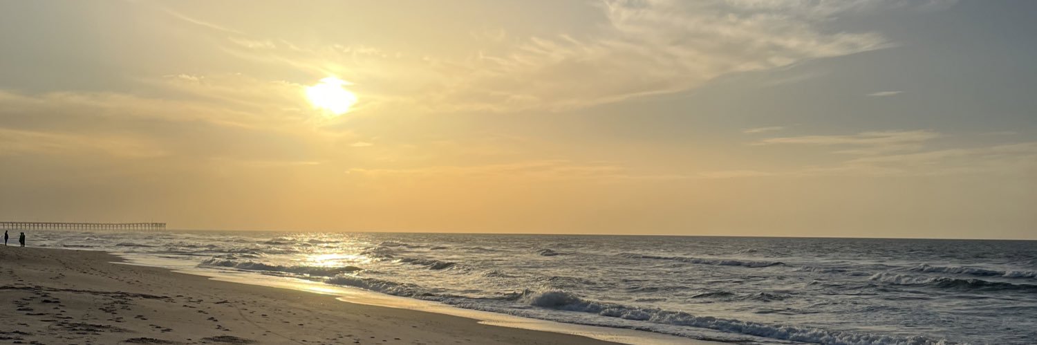 Trina Abell banner