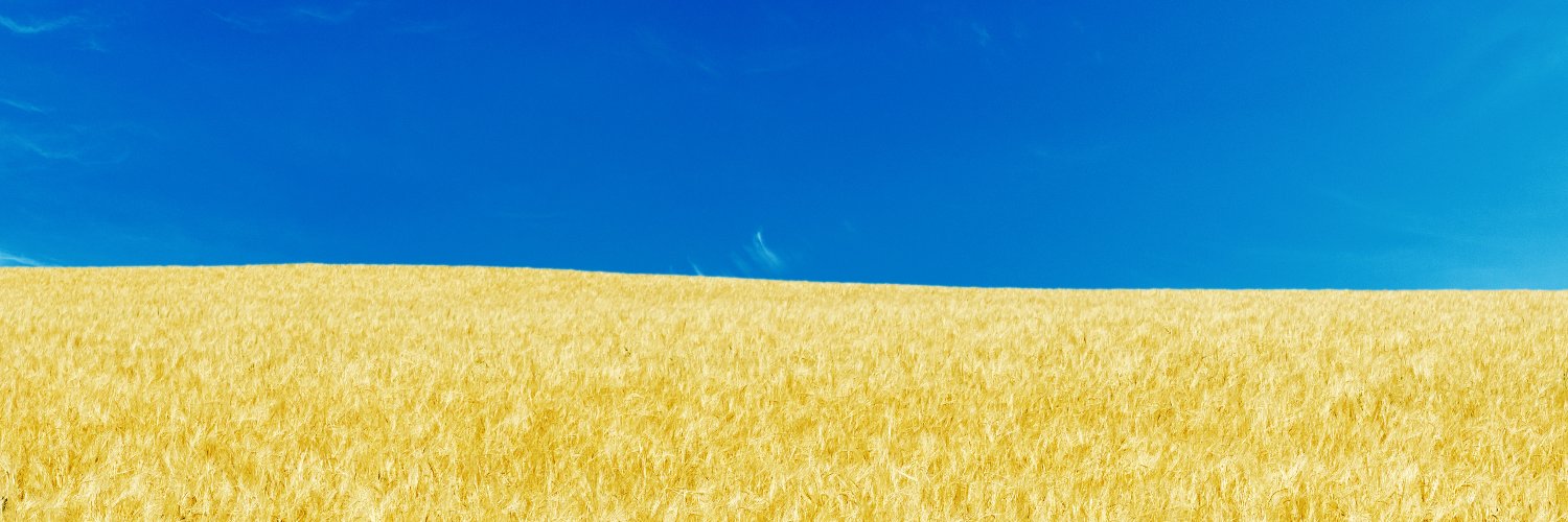 arildhermstad's profile banner image