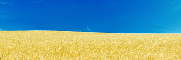 arildhermstad Profile Banner