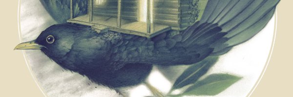 swiftsilverband Profile Banner