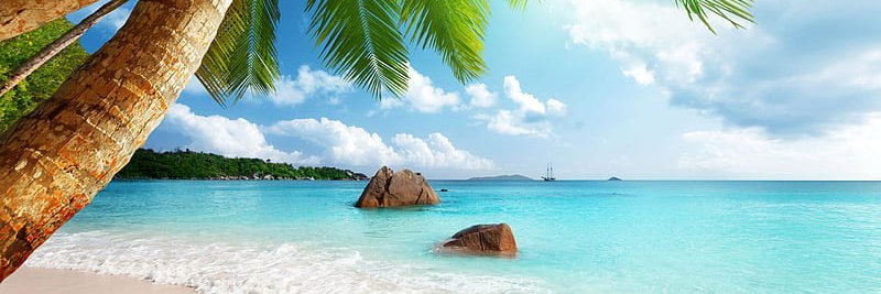 BeachMoney banner