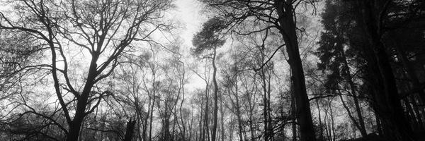 acraigster Profile Banner