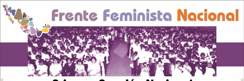 Frente Feminista MX banner