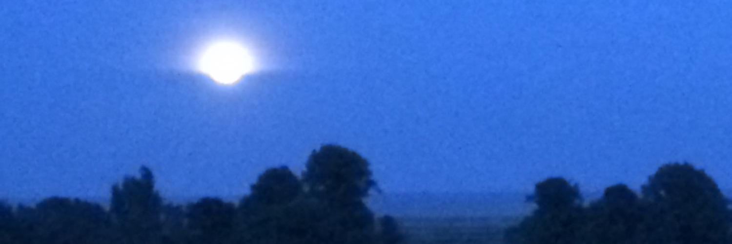 LoraMacfarlane's profile banner image