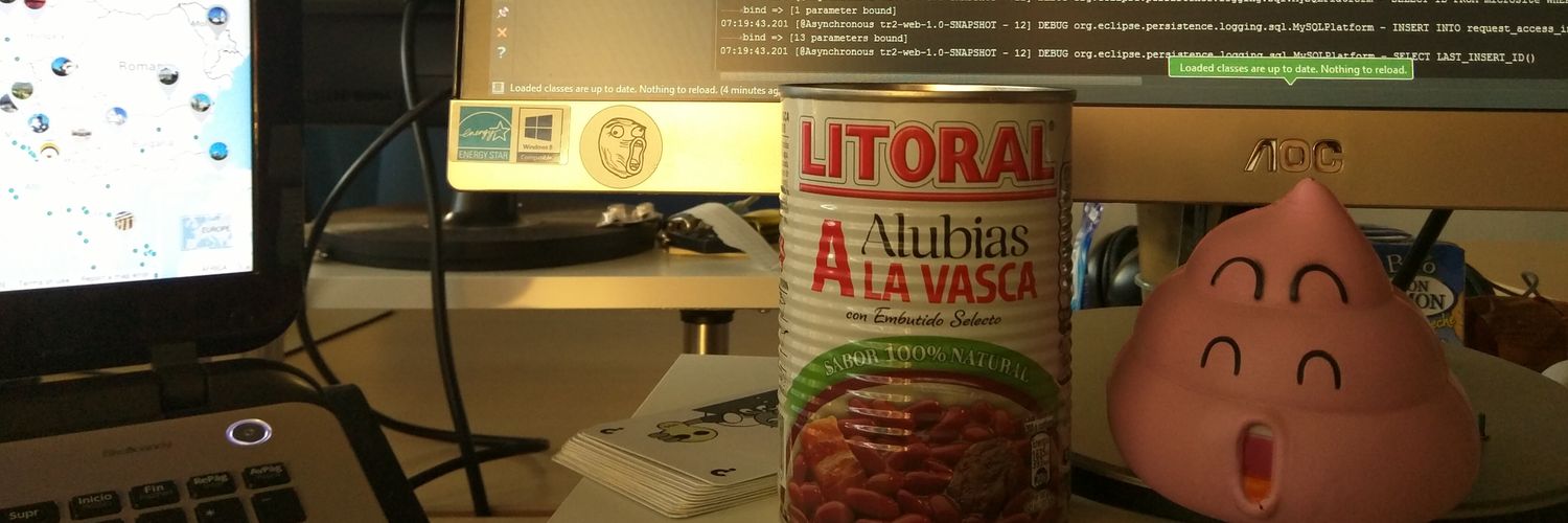 Juan Lladó banner