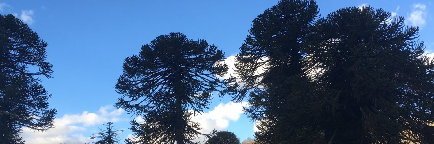 Gonzalo Labarca, MD, MS, FACP, FCCP banner