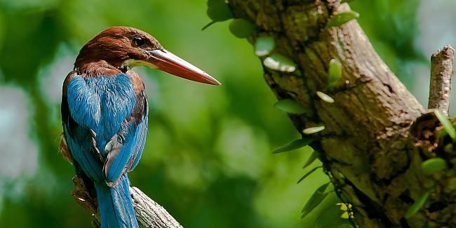 Guntis_Jansons's profile banner image