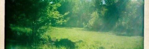 Falling Star Ashara banner