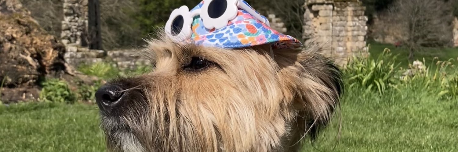 _PollyGee's profile banner image