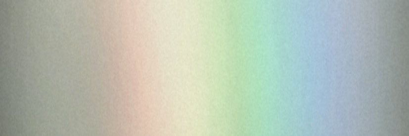 ricky banner