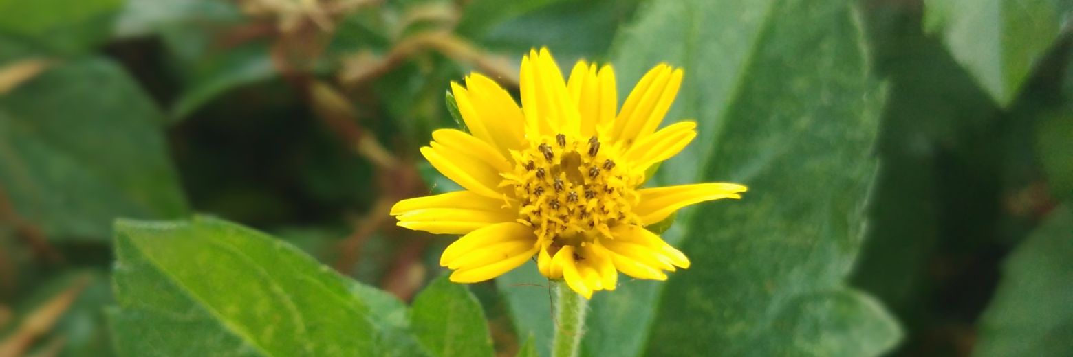 tartud's profile banner image