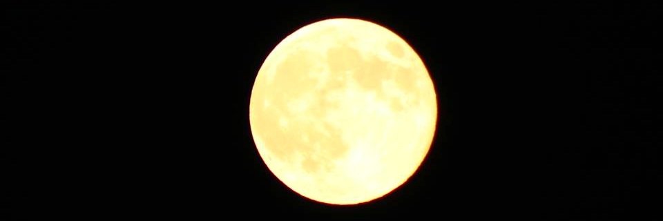 _laniedev's profile banner image