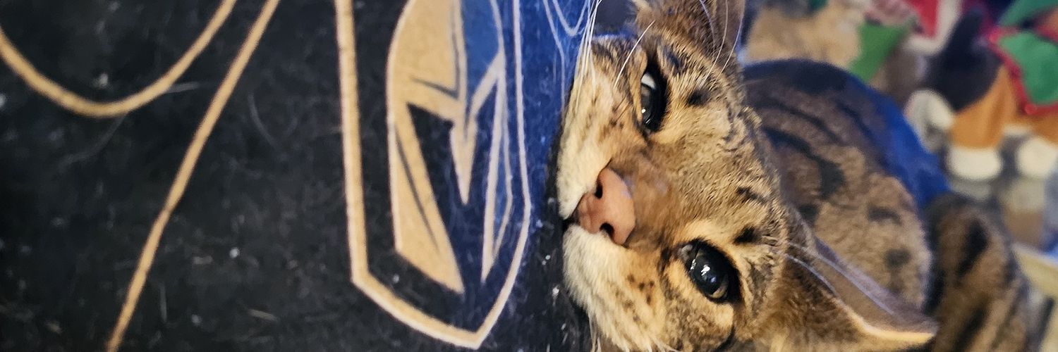 ForeverSand's profile banner image
