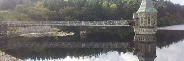 DaiARees Profile Banner