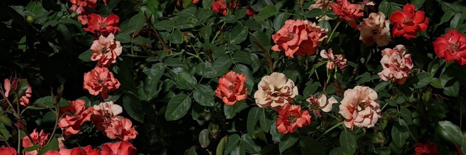 plumping_'s profile banner image