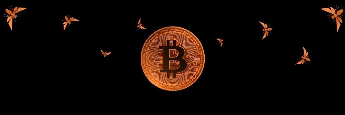 strategy_inv1's profile banner image
