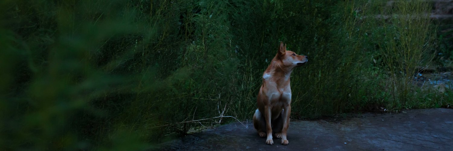 tbb_arise's profile banner image