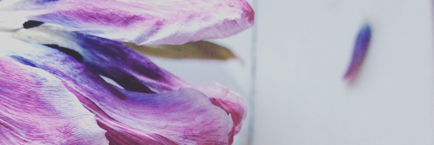 HelenaKauppila's profile banner image