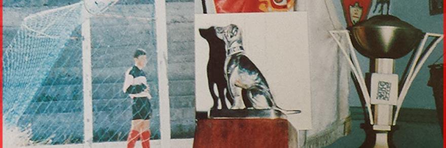cdfirgas's profile banner image