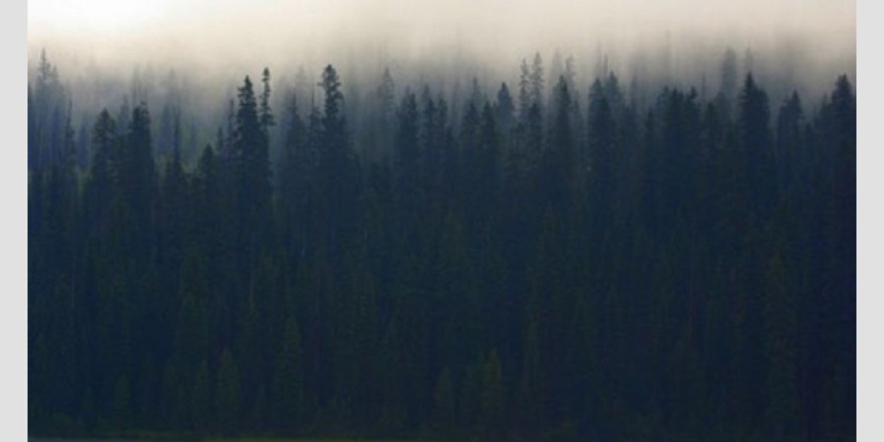 lyssaalou_'s profile banner image