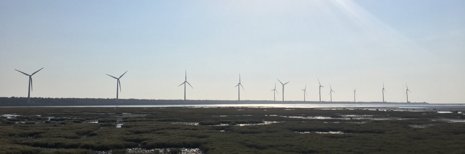 FANG💡💖💛💜 banner