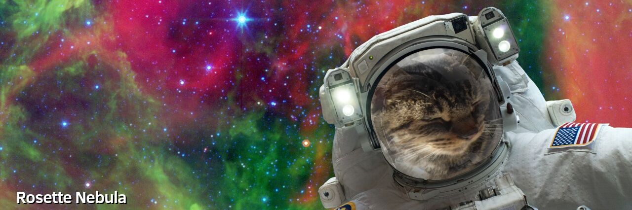 juliacook67's profile banner image