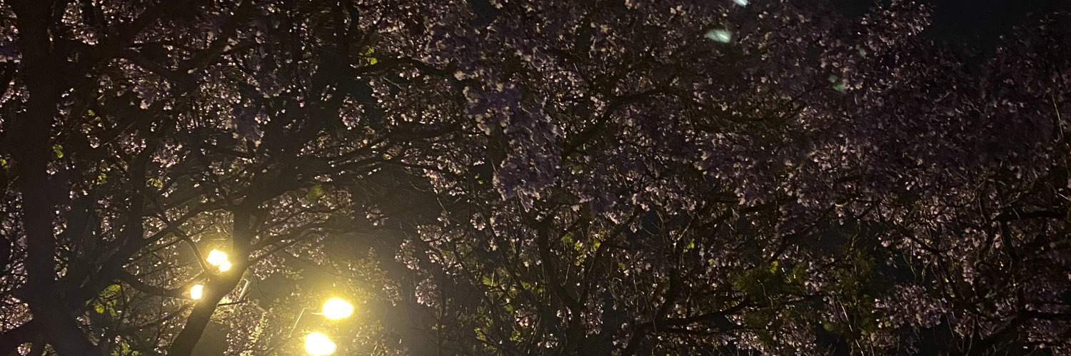 I_msaa's profile banner image