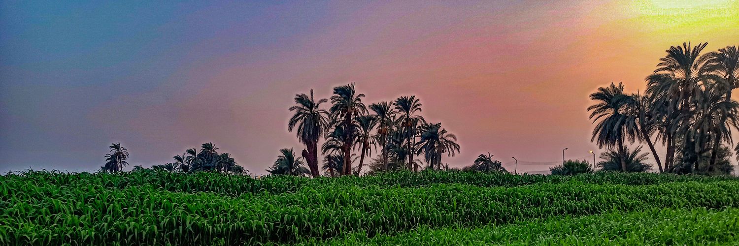 Tero_Atef_metry's profile banner image