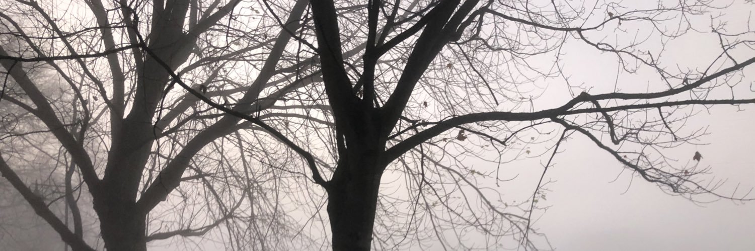 Simon Dimmock banner