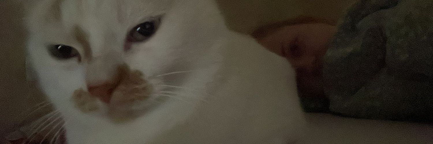 Kalniic's profile banner image