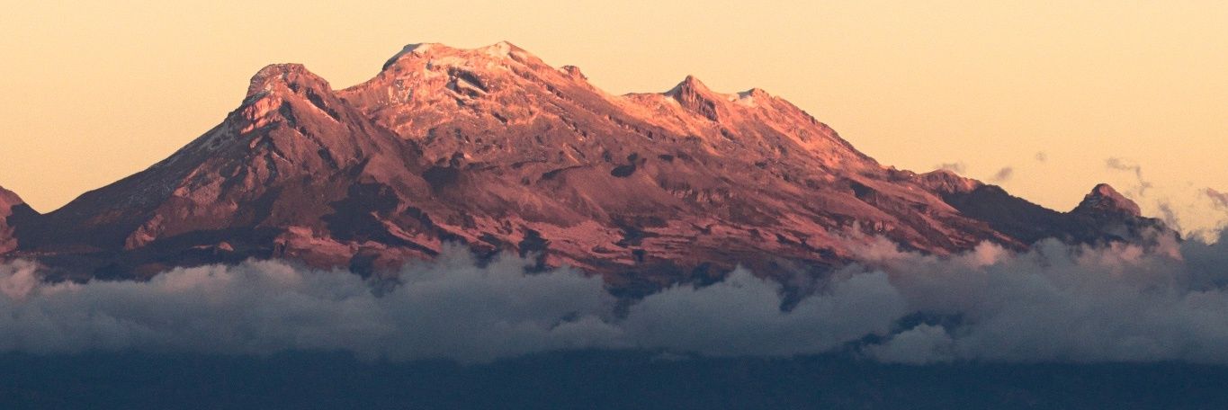 Nikola Krestonosich Celis banner