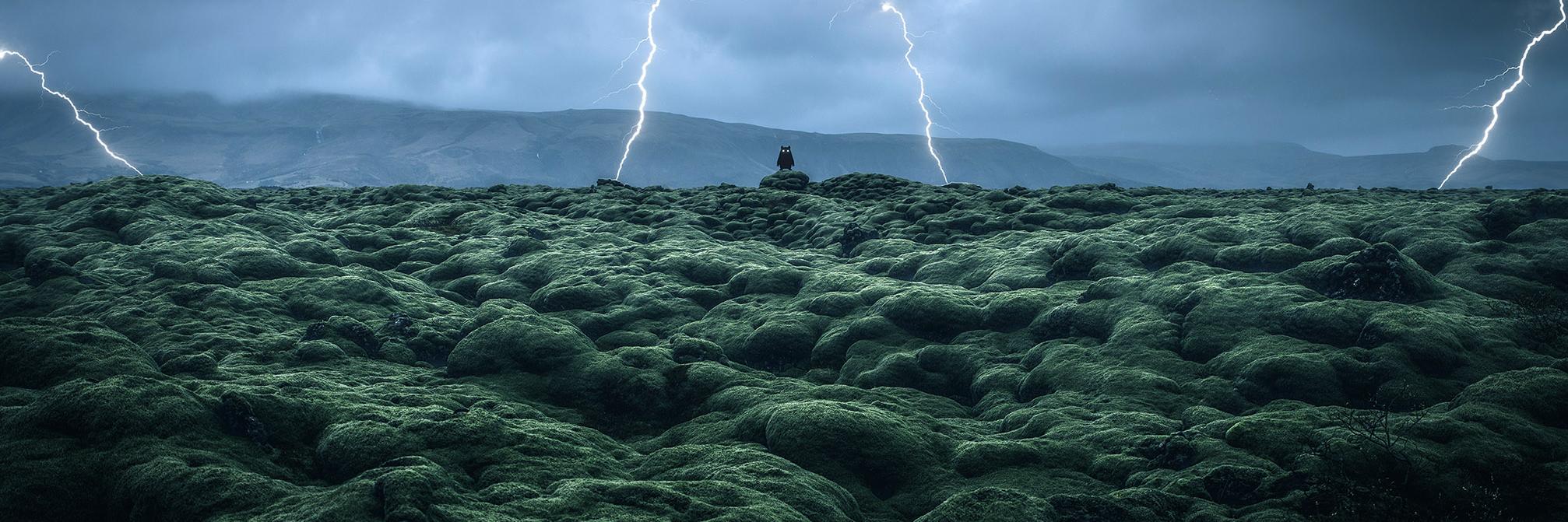 𝔒𝔫𝔠𝔢 𝔖𝔱𝔬𝔯𝔶𝔱𝔢𝔩𝔩𝔦𝔫𝔤 banner