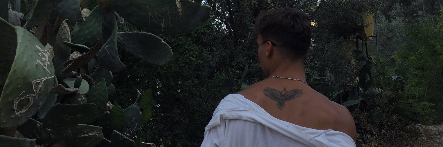 GuyuEmre's profile banner image