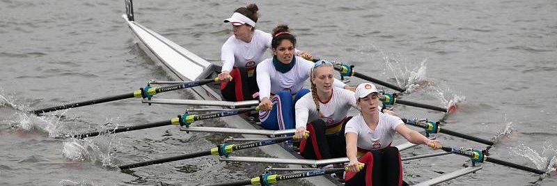 The Fours Head banner