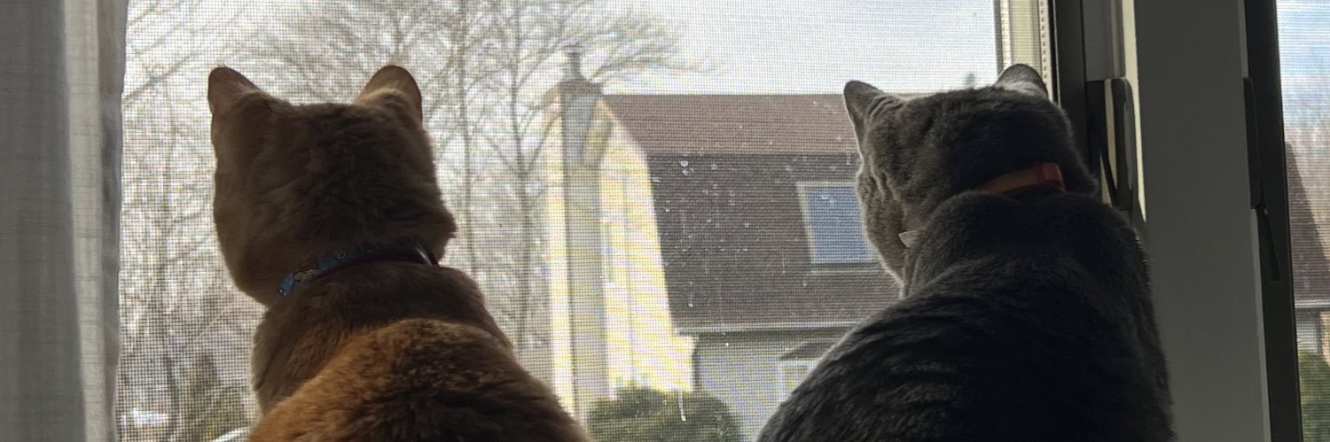 Tan18895's profile banner image