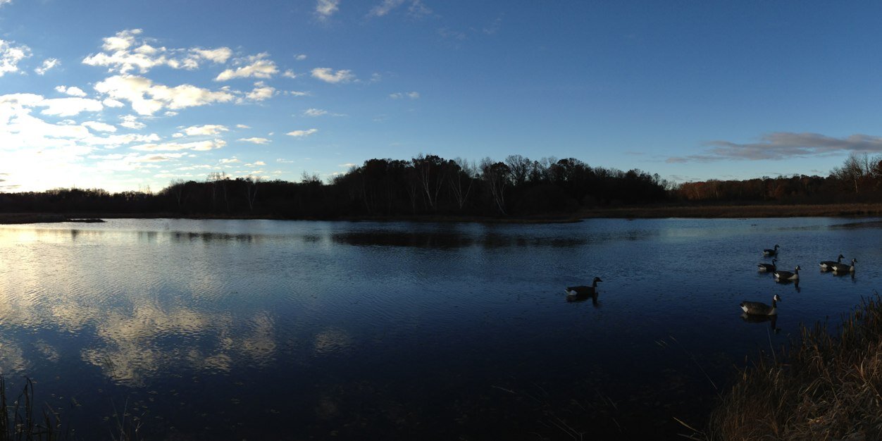 Mike McDermid banner