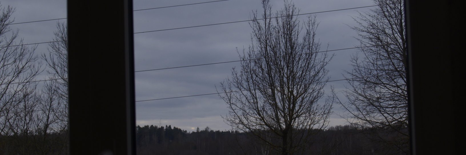margrietina_'s profile banner image