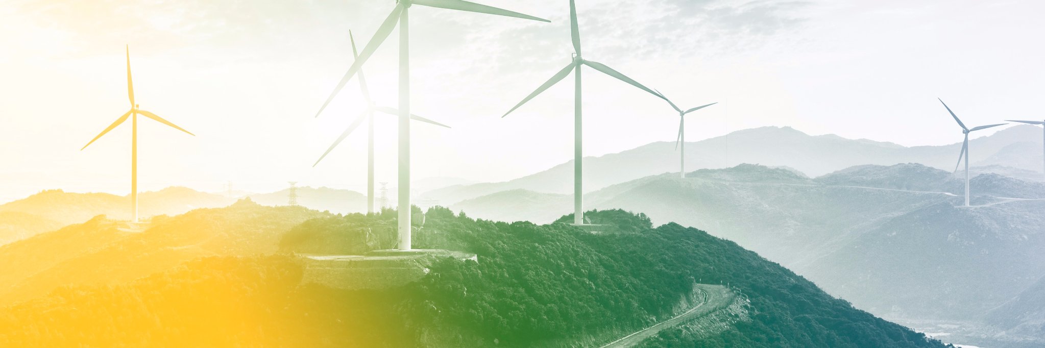 NorthseaConnect's profile banner image