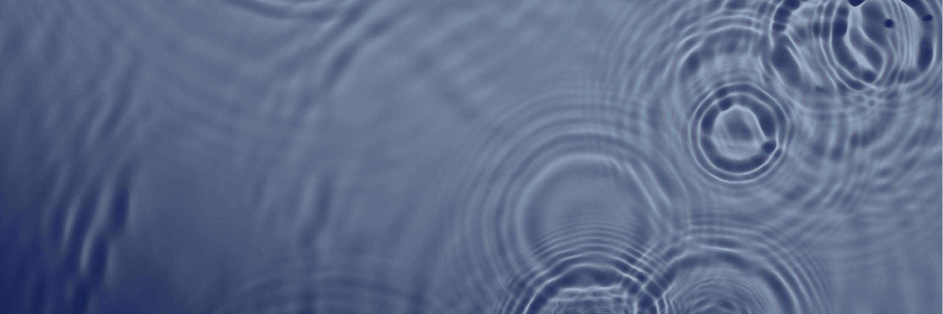 Lilith Hasbeck banner